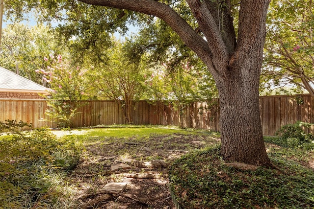 10009 Apple Creek Dr, Dallas, TX 75243 - view of fenced backyard
