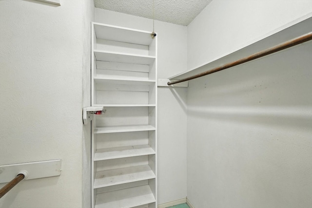 233 Hillview Dr, Hurst, TX 76054 - view of walk in closet