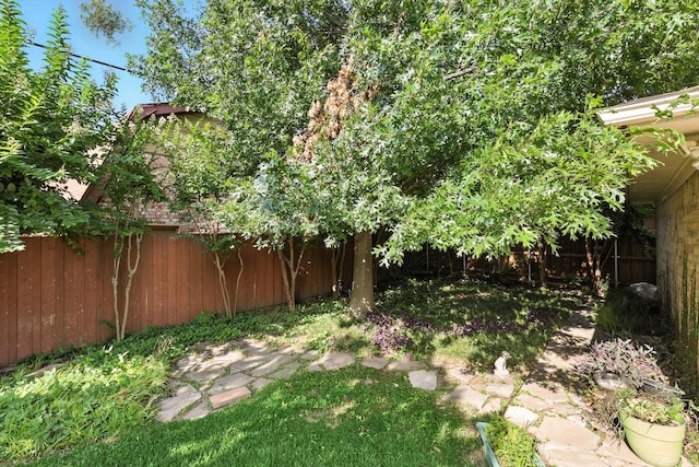233 Hillview Dr, Hurst, TX 76054 - view of yard