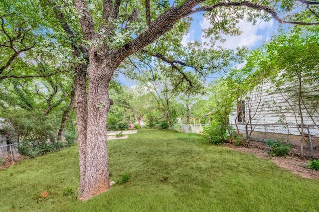 2517 Meaders Ave, Fort Worth, TX 76112 - view of yard