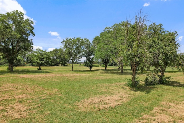 713 E Peel St, Pilot Point, TX 76258 - view of grassy yard