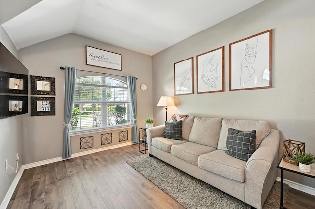 9210 Wild River Dr, Arlington, TX 76002 - living room featuring wood finished floors and lofted ceiling