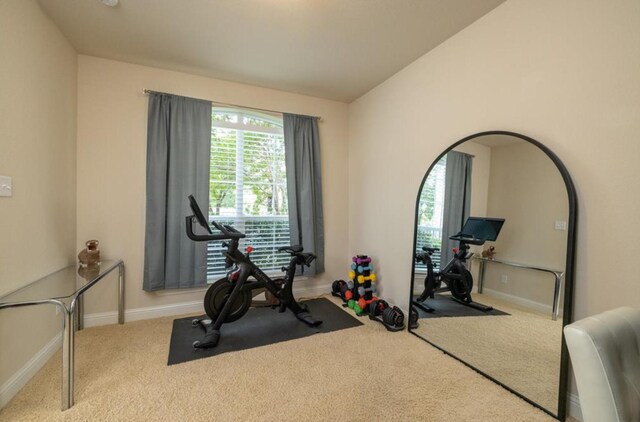 6812 S Fork Dr, North Richland Hills, TX 76182 - exercise room featuring carpet and baseboards
