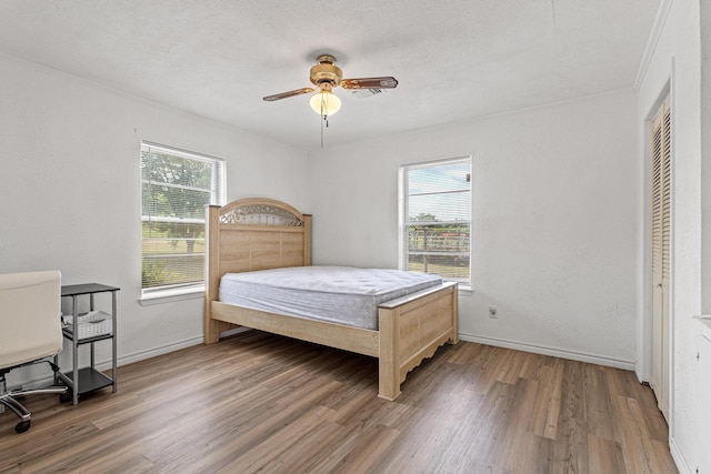 567 Celtic Rd, Howe, TX 75459 - bedroom featuring multiple windows, wood finished floors, crown molding, a ceiling fan, and a textured ceiling