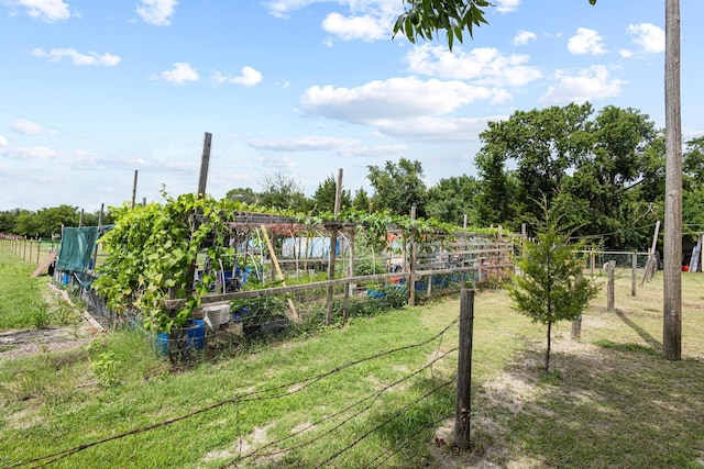 567 Celtic Rd, Howe, TX 75459 - view of yard with a vegetable garden