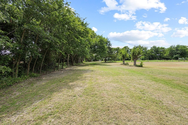 567 Celtic Rd, Howe, TX 75459 - view of green lawn