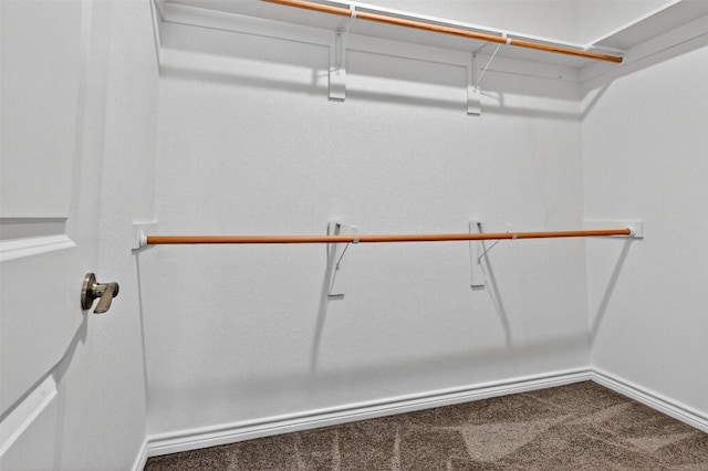 515 W Broad St, Pilot Point, TX 76258 - spacious closet featuring carpet floors