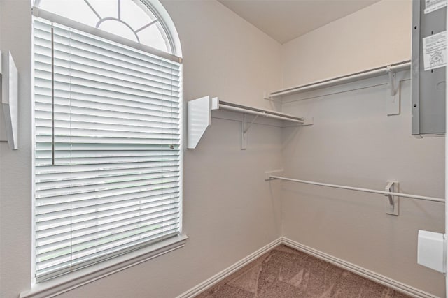 1900 Sumac Dr, Flower Mound, TX 75028 - spacious closet with carpet flooring