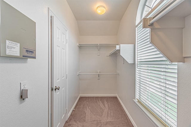 1900 Sumac Dr, Flower Mound, TX 75028 - spacious closet featuring carpet floors