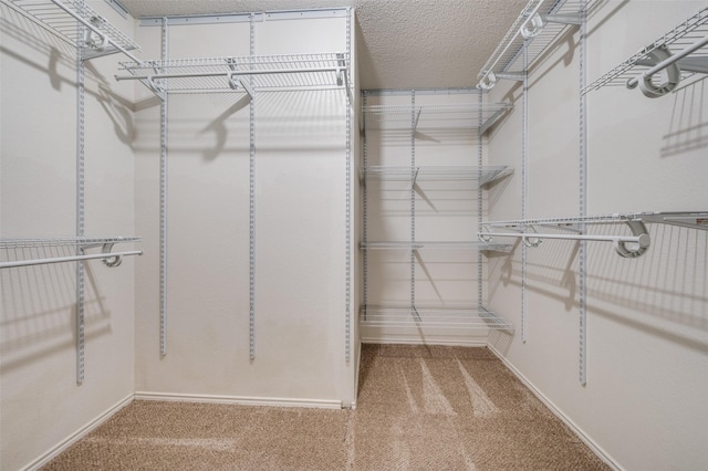 1640 Fieldstone Dr, Little Elm, TX 75068 - walk in closet featuring carpet floors