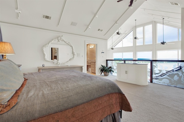 214 Island View Dr, Pottsboro, TX 75076 - carpeted bedroom with track lighting, multiple windows, high vaulted ceiling, and crown molding