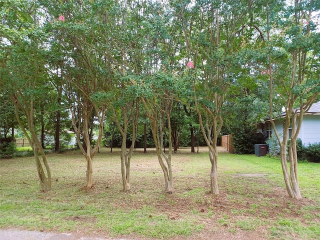 209 Cheek St, Mineola, TX 75773