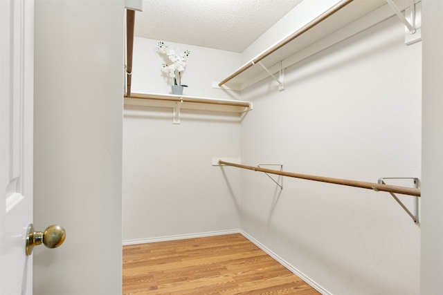2073 Rushmore Ct, Lewisville, TX 75067 - walk in closet featuring light wood-style floors