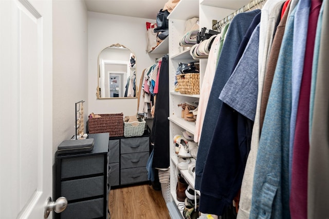 9028 Wild Rose Ln, Cross Roads, TX 76227 - spacious closet with wood finished floors