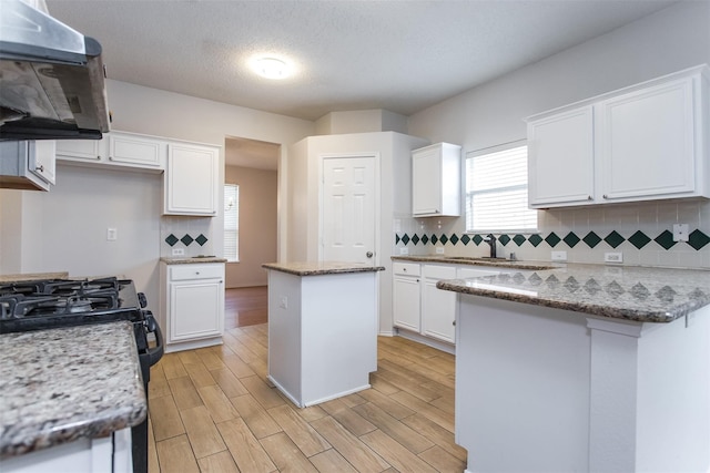 738 Opal Ln, Mesquite, TX 75149 - kitchen featuring exhaust hood, white cabinetry, tasteful backsplash, and a textured ceiling