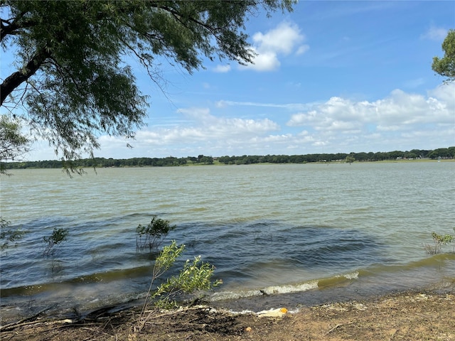 504 Lake Point Dr, Little Elm, TX 75068 - water view