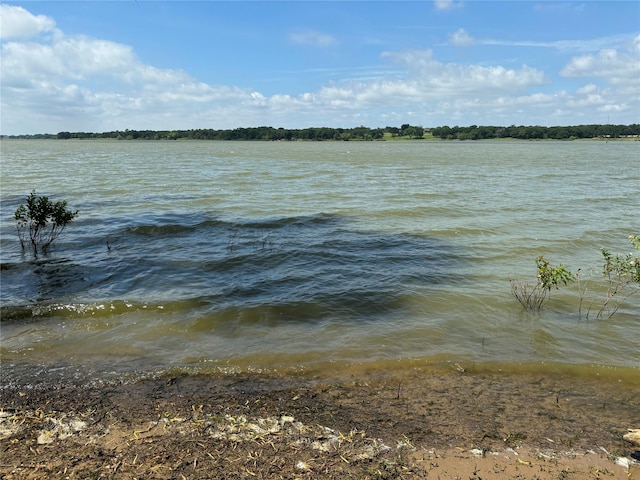 504 Lake Point Dr, Little Elm, TX 75068 - water view