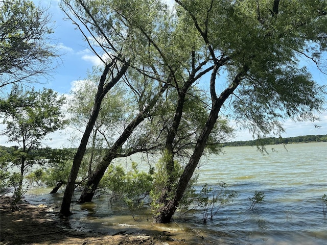 504 Lake Point Dr, Little Elm, TX 75068 - water view
