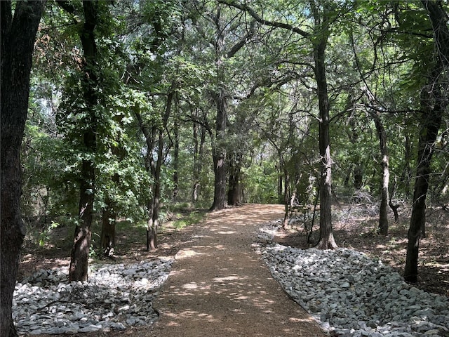 504 Lake Point Dr, Little Elm, TX 75068 - view of road with a view of trees