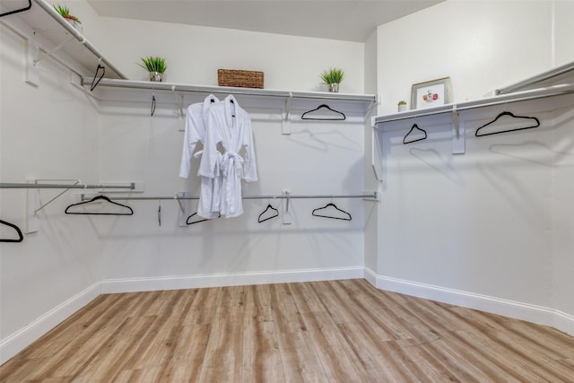 4513 Southpointe Dr, Richardson, TX 75082 - walk in closet with light wood finished floors