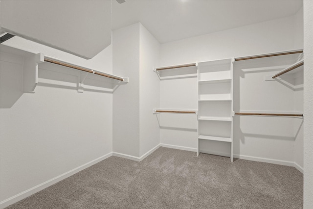 1900 Twisted Tree Ln, Mesquite, TX 75181 - spacious closet featuring carpet floors