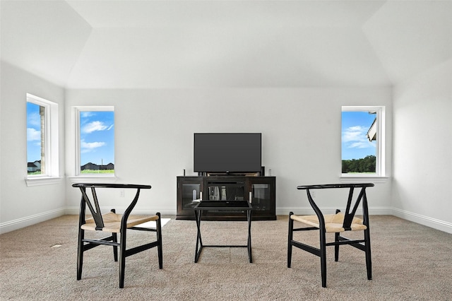 1018 Cascading Creek Dr, Rockwall, TX 75087 - office with lofted ceiling and carpet floors