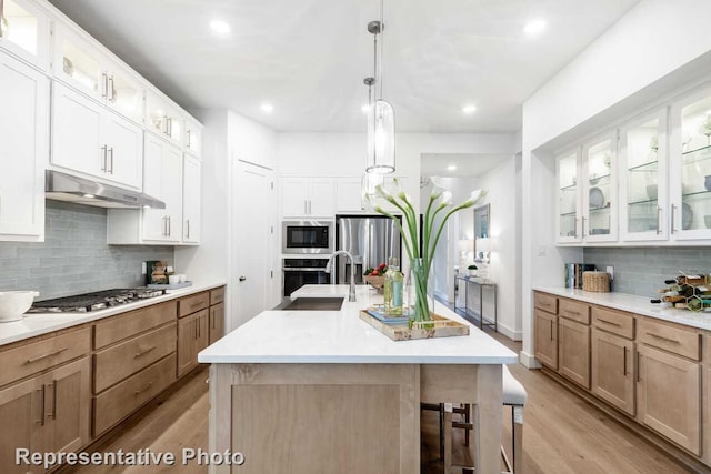 3613 Barrel Ln, Aubrey, TX 76227 - kitchen featuring appliances with stainless steel finishes, under cabinet range hood, light wood-style floors, backsplash, and light countertops