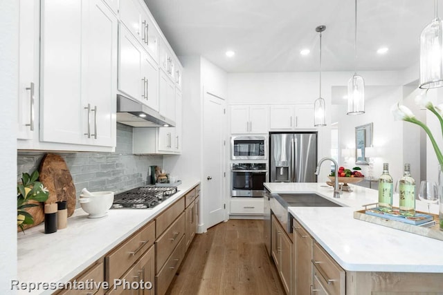 3613 Barrel Ln, Aubrey, TX 76227 - kitchen featuring stainless steel appliances, under cabinet range hood, dark wood-type flooring, light countertops, and recessed lighting