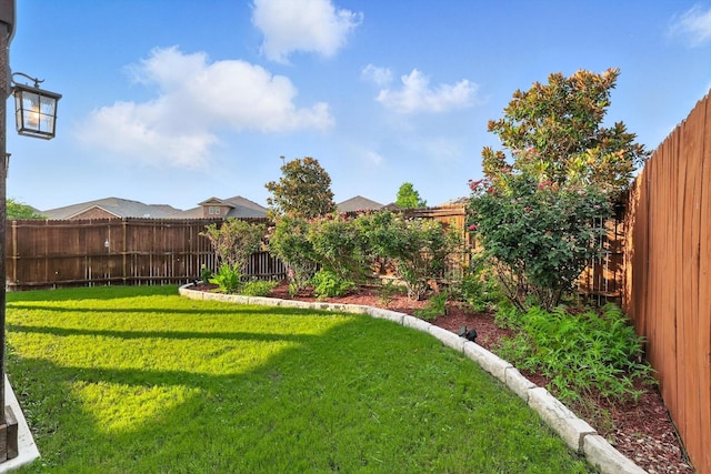 3901 Tule Ranch Rd, Fort Worth, TX 76262 - view of fenced backyard