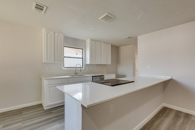 1006 Sleepy Hollow Dr, Garland, TX 75043 - kitchen featuring light wood-style floors, white cabinets, and stainless steel dishwasher