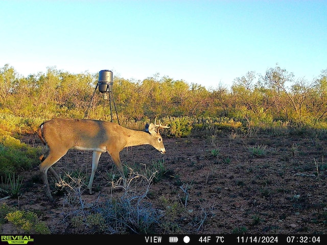 604 321, Abilene, TX 79606