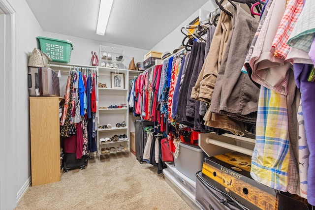 102 Southfork Cir, Pottsboro, TX 75076 - walk in closet with carpet floors