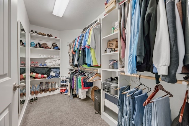 421 W Holford St, Pilot Point, TX 76258 - spacious closet featuring carpet floors