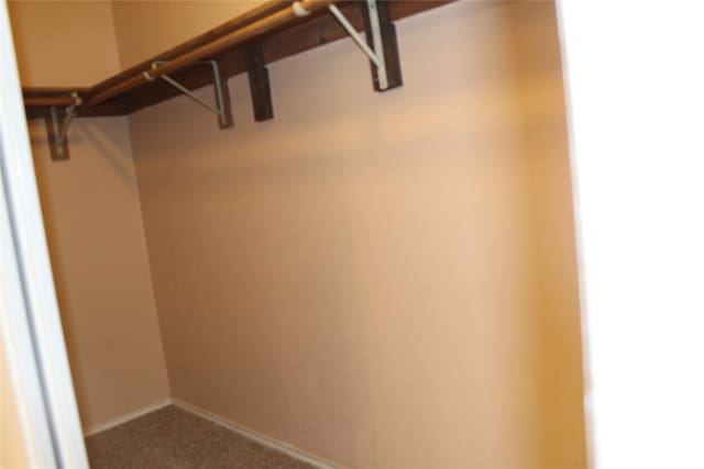 1108 Paintbrush St, Mesquite, TX 75149 - walk in closet featuring carpet floors