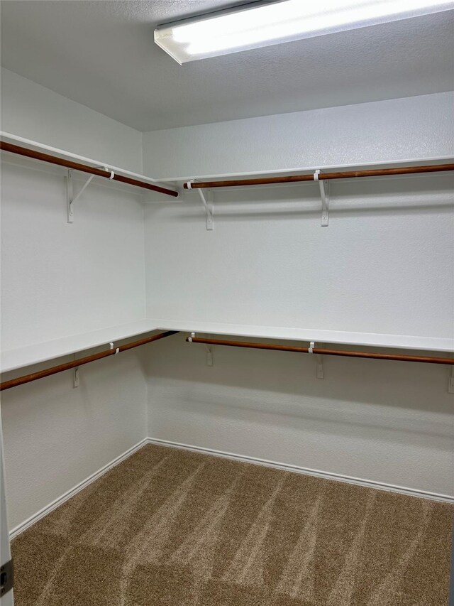 2717 Big Spring Dr, Fort Worth, TX 76120 - walk in closet with dark colored carpet