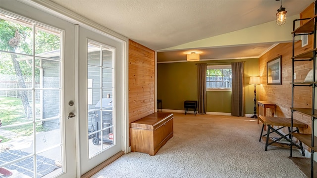 1250 N Isla St, Stephenville, TX 76401 - doorway with vaulted ceiling, wooden walls, light colored carpet, and a textured ceiling