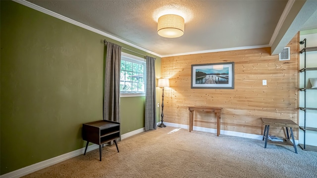 1250 N Isla St, Stephenville, TX 76401 - unfurnished room featuring wood walls, ornamental molding, carpet flooring, and a textured ceiling
