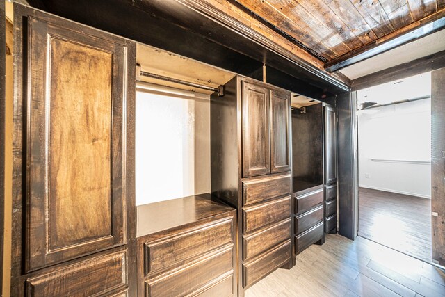 1704 Baird Farm Cir Unit 4104, Arlington, TX 76006 - walk in closet with light wood-style floors