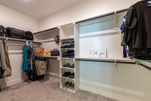 5523 Firewood Trl, Granbury, TX 76048 - walk in closet with carpet