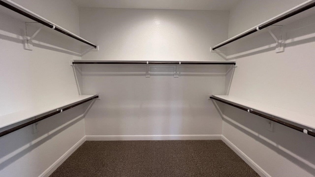 1821 Brindle St, Northlake, TX 76247 - spacious closet featuring carpet flooring
