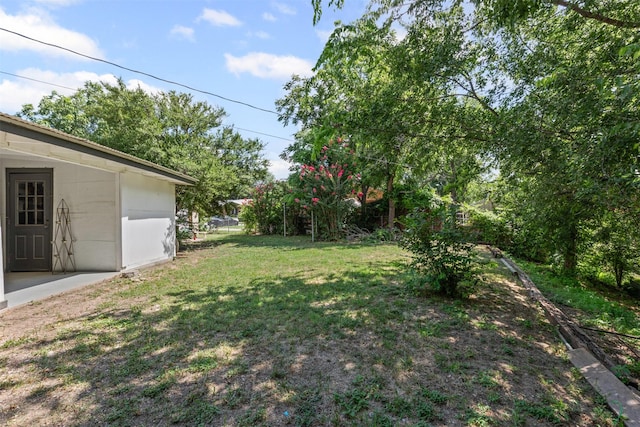 6301 Shadydell Dr, Fort Worth, TX 76135 - view of green lawn