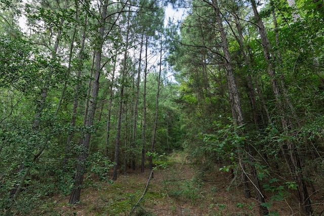 00 Lemon Rd, Gilmer, TX 75644