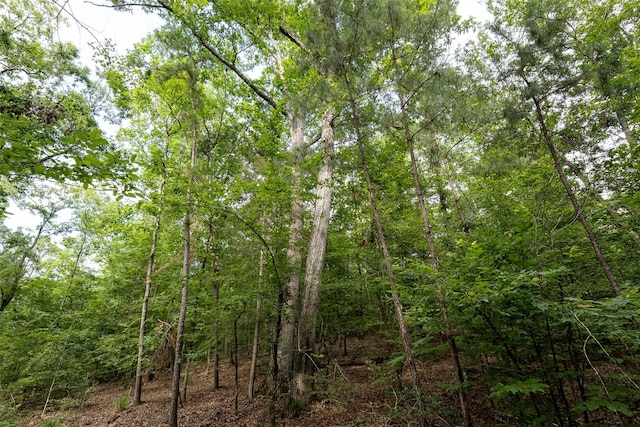 00 Lemon Rd, Gilmer, TX 75644