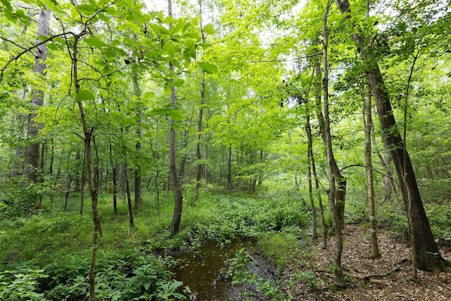 00 Lemon Rd, Gilmer, TX 75644