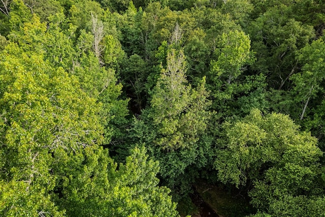 00 Lemon Rd, Gilmer, TX 75644