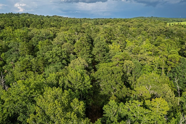 00 Lemon Rd, Gilmer, TX 75644