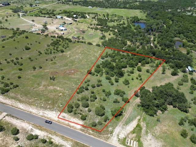 449 Hollow Dr, Lipan, TX 76462