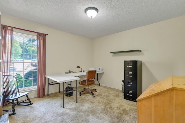 2815 Whisperwood Trl, Dalworthington Gardens, TX 76016 - carpeted office with a textured ceiling and baseboards