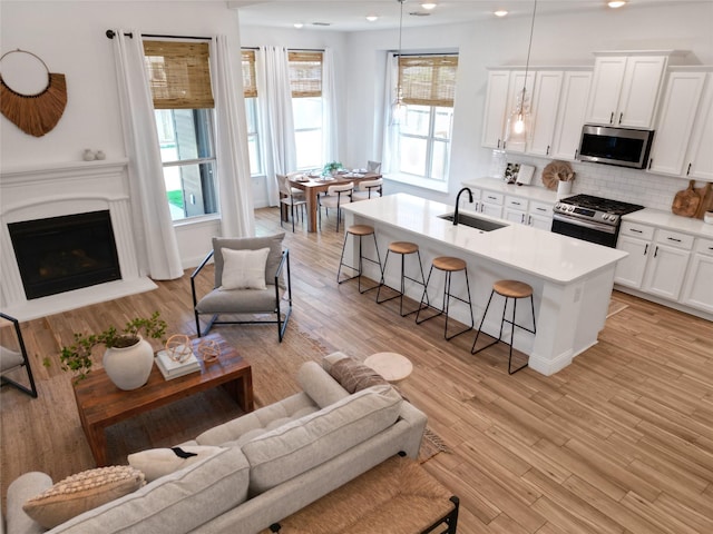 1604 Berry Ridge Trl, Aubrey, TX 76227 - living room with plenty of natural light, a fireplace with raised hearth, and light wood-style floors