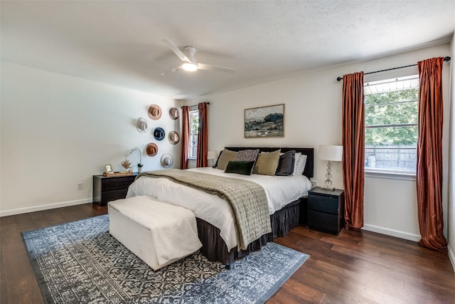 6342 E Lovers Ln, Dallas, TX 75214 - bedroom featuring multiple windows, dark wood-style floors, and a ceiling fan